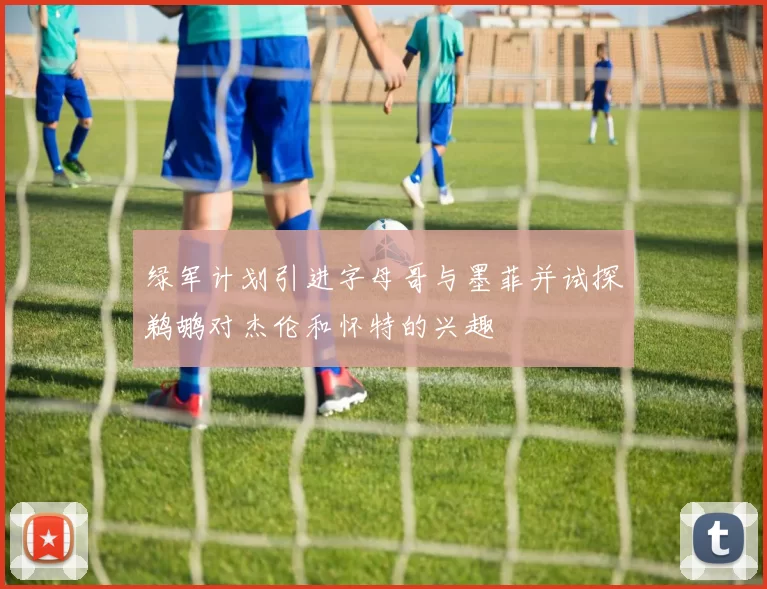 绿军计划引进字母哥与墨菲并试探鹈鹕对杰伦和怀特的兴趣